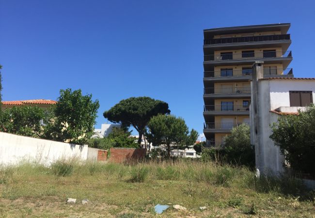 Plot in Escala - T10223 - NARCIS MONTURIOL