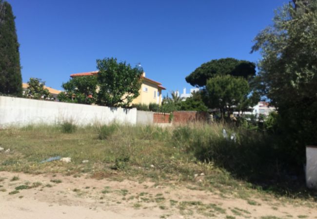 Plot in Escala - T10223 - NARCIS MONTURIOL