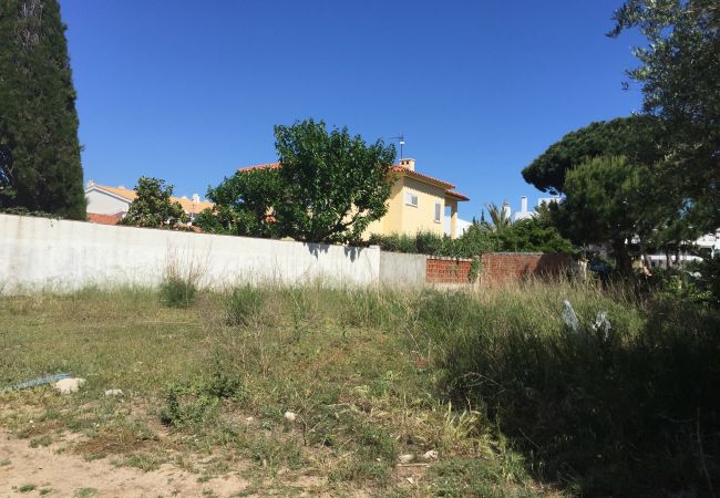 Plot in Escala - T10223 - NARCIS MONTURIOL