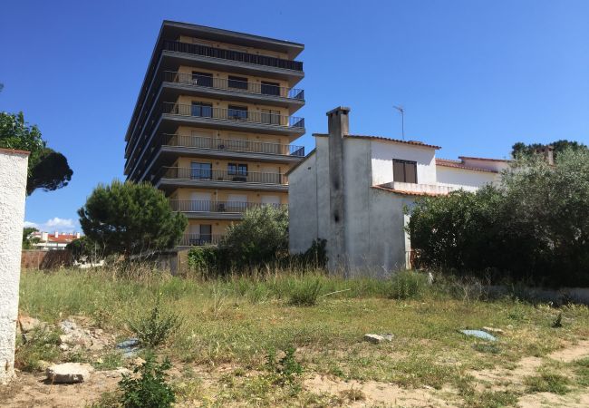 Plot in Escala - T10223 - NARCIS MONTURIOL