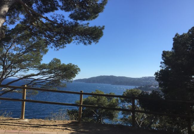 Apartamento en Llafranc - LLAFRANC 2