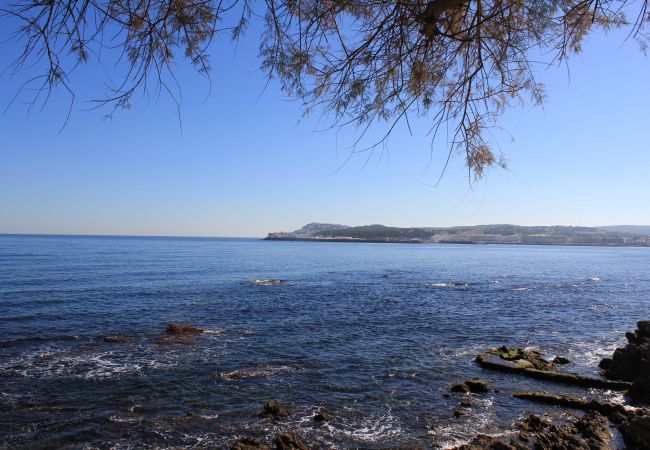 Estudi en L´Escala - ALMENAR
