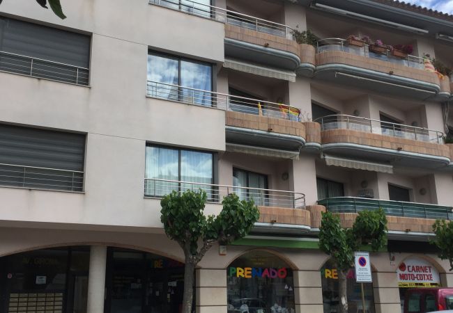 Pis en Escala - P10616